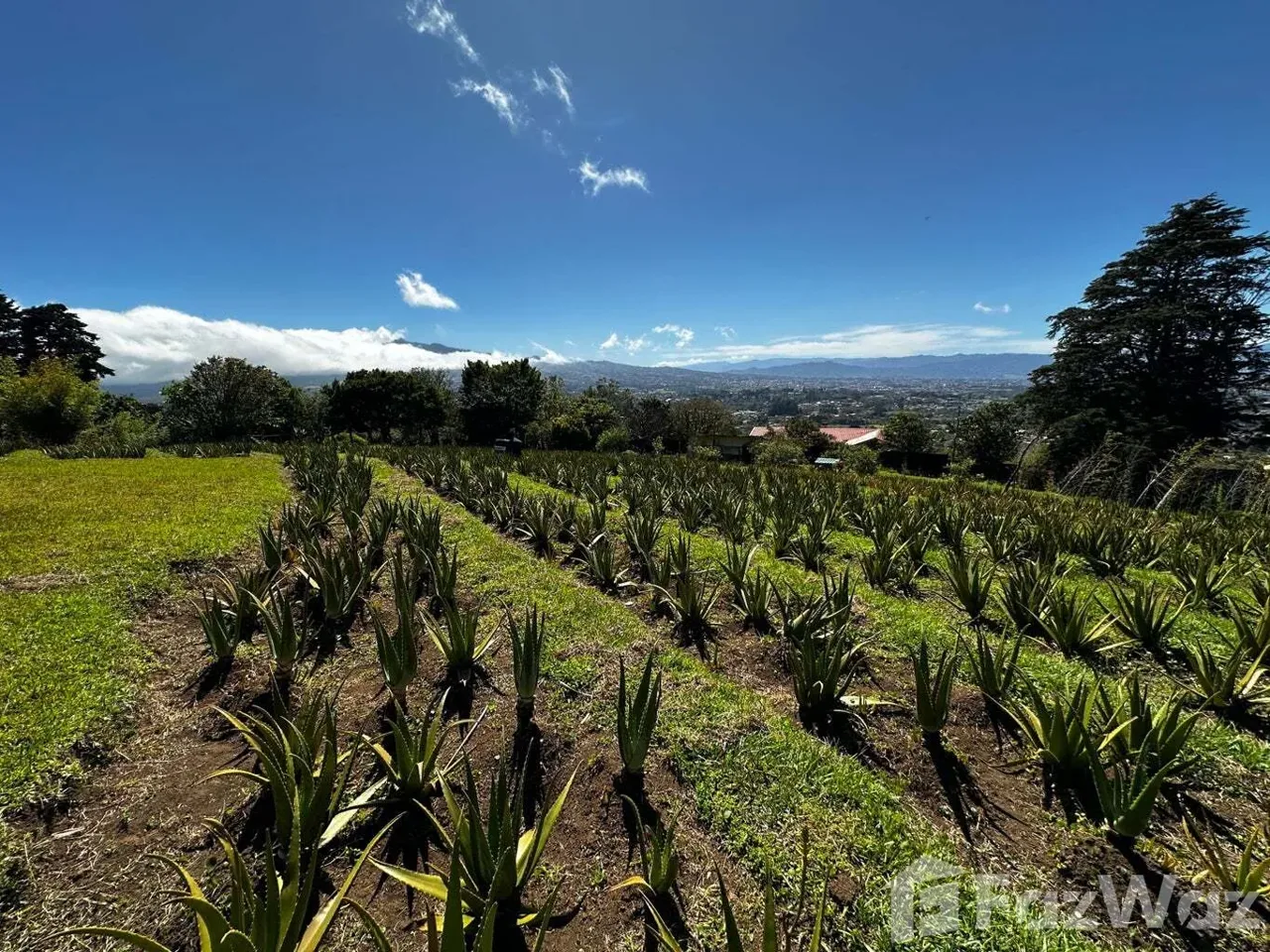 Land for Sale in San Isidro, Heredia for $680,000, photo 12
