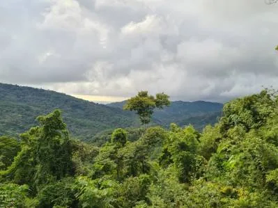 Venta lindo lote en Platanillo - Pérez Zeledón
