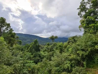 Venta lindo lote en Platanillo - Pérez Zeledón, photo 2