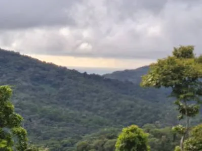 Venta lindo lote en Platanillo - Pérez Zeledón, photo 3