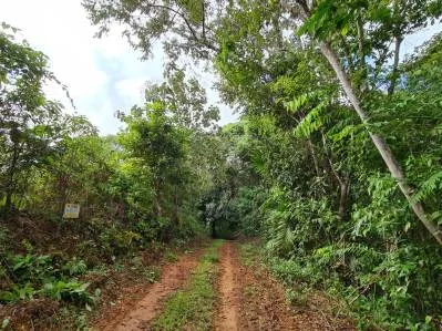 Venta lindo lote en Platanillo - Pérez Zeledón, photo 4