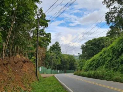 Venta lindo lote en Platanillo - Pérez Zeledón, photo 7