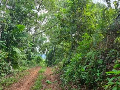 Venta lindo lote en Platanillo - Pérez Zeledón, photo 8