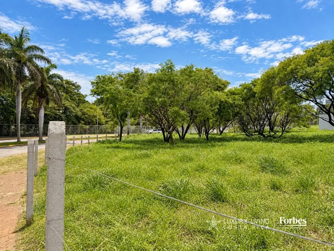 Exclusivos Terrenos Residenciales en Real Cariari | Ideales para Torres o Desarrollos de Lujo, photo 3