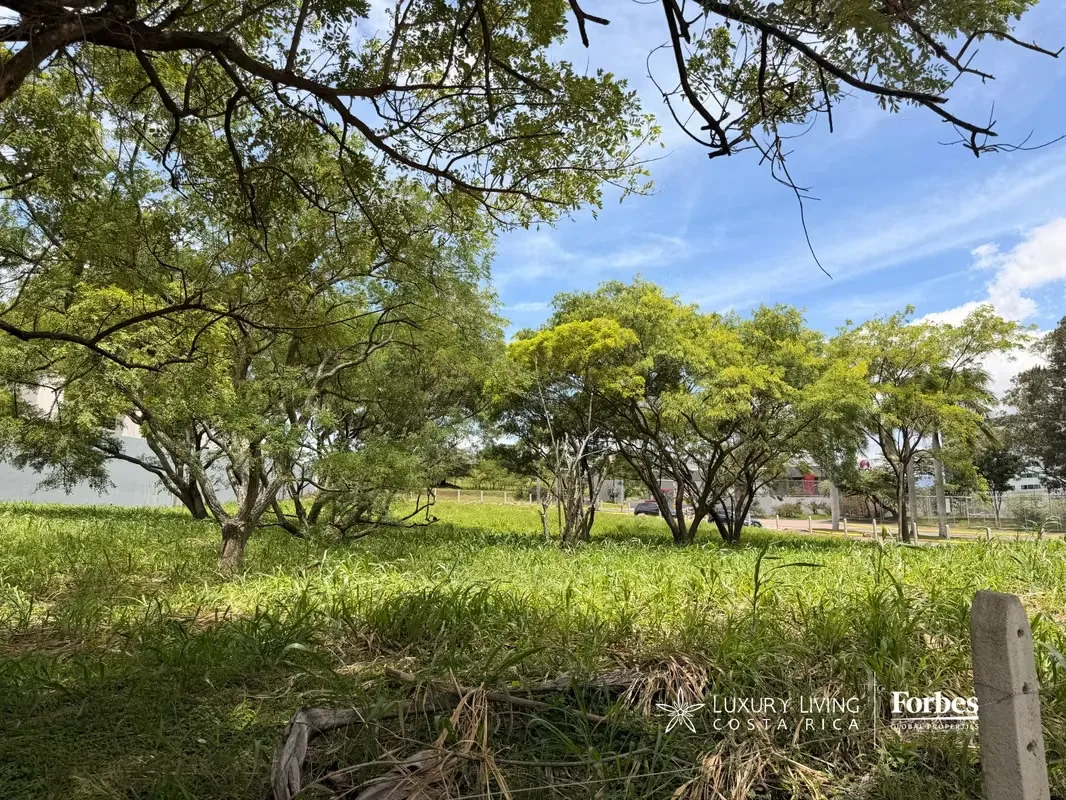 Exclusivos Terrenos Residenciales en Real Cariari | Ideales para Torres o Desarrollos de Lujo, photo 4