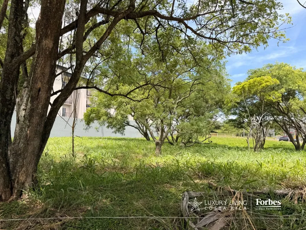 Exclusivos Terrenos Residenciales en Real Cariari | Ideales para Torres o Desarrollos de Lujo, photo 5