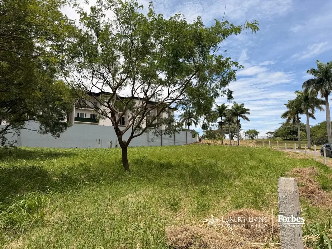 Exclusivos Terrenos Residenciales en Real Cariari | Ideales para Torres o Desarrollos de Lujo, photo 6