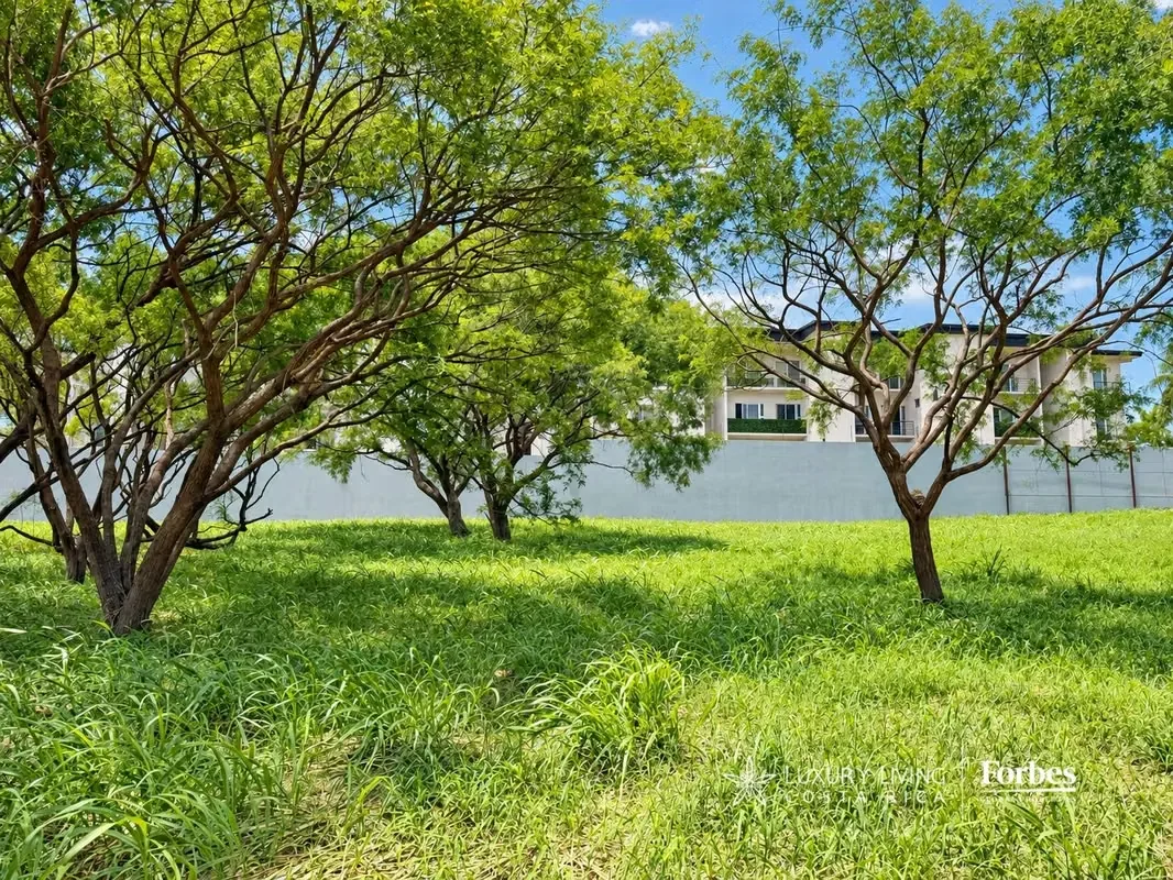 Exclusivos Terrenos Residenciales en Real Cariari | Ideales para Torres o Desarrollos de Lujo, photo 7