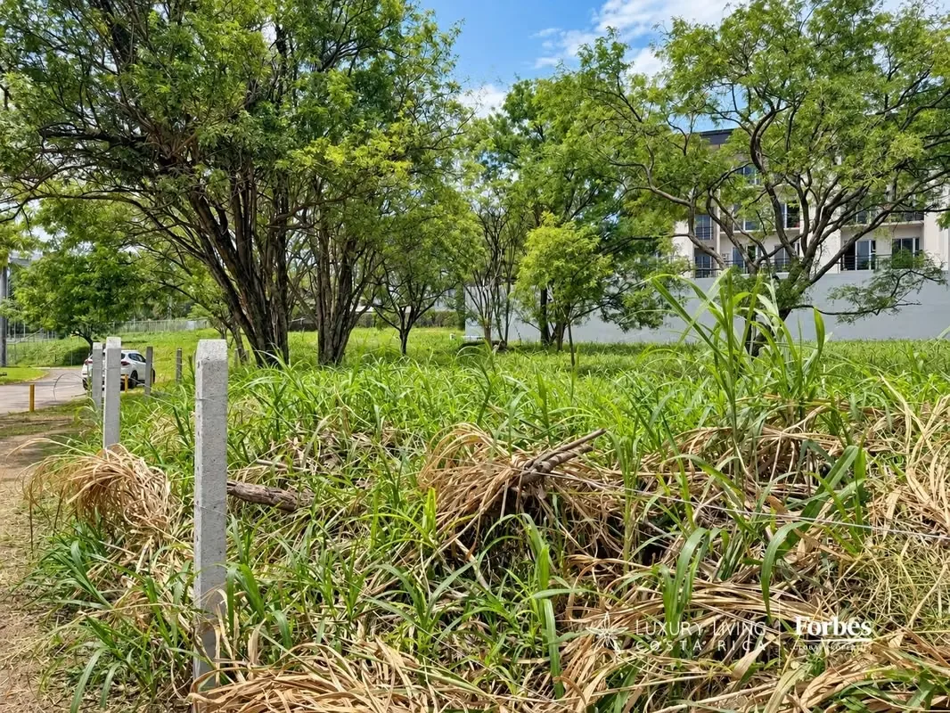 Exclusivos Terrenos Residenciales en Real Cariari | Ideales para Torres o Desarrollos de Lujo, photo 8