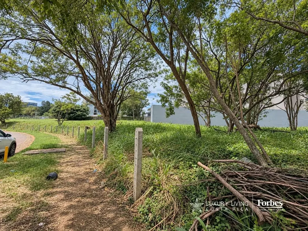 Exclusivos Terrenos Residenciales en Real Cariari | Ideales para Torres o Desarrollos de Lujo, photo 9