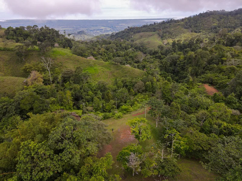 Land For Sale in Ojochal