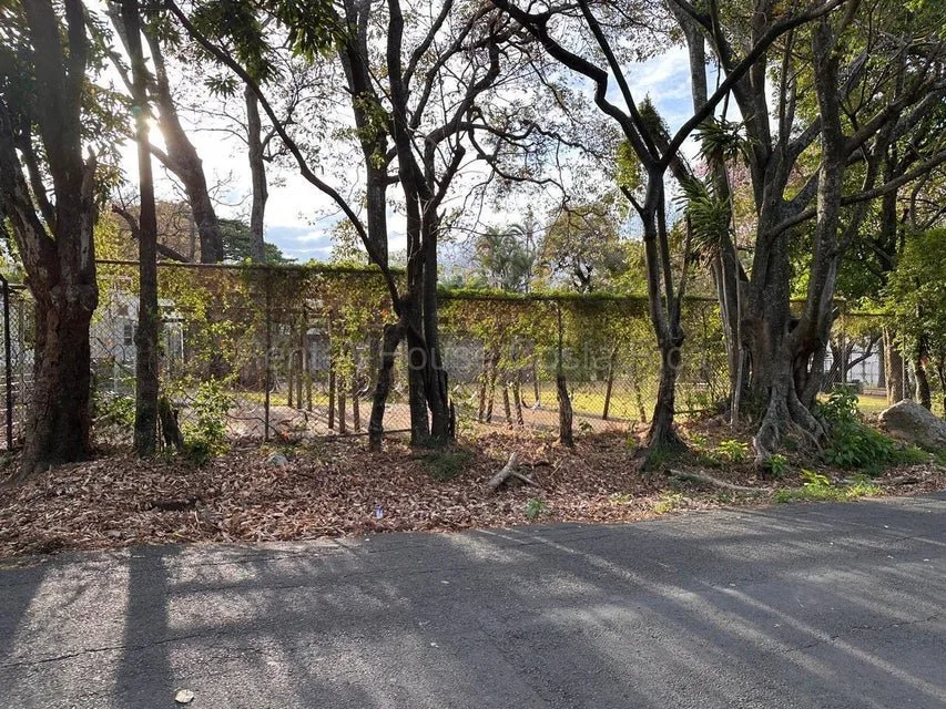 Venta de Lote Plano en Santa Ana. RAH 26-1687 - Venta en Santa Ana, photo 6
