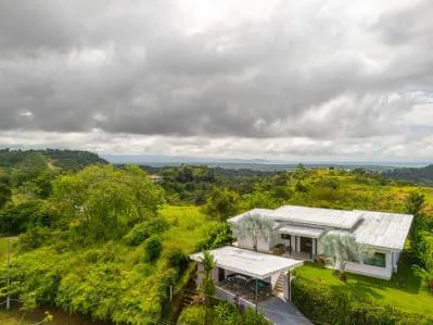 Casa Aves, photo 5
