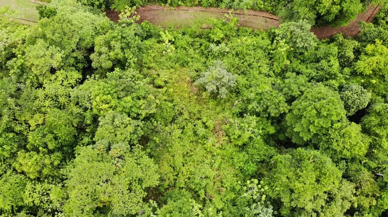 Exquisite Jungle property with Ocean View | Gated Community in Ojochal, photo 2