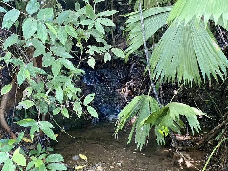 Exquisite Jungle property with Ocean View | Gated Community in Ojochal, photo 11