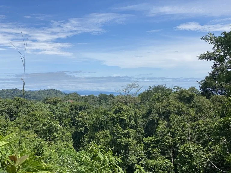 Exquisite Jungle property with Ocean View | Gated Community in Ojochal, photo 14