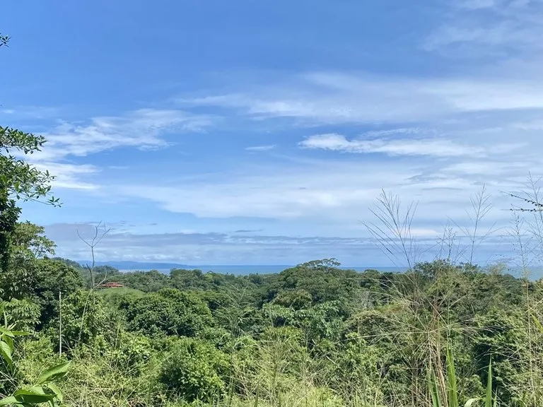 Exquisite Jungle property with Ocean View | Gated Community in Ojochal, photo 6
