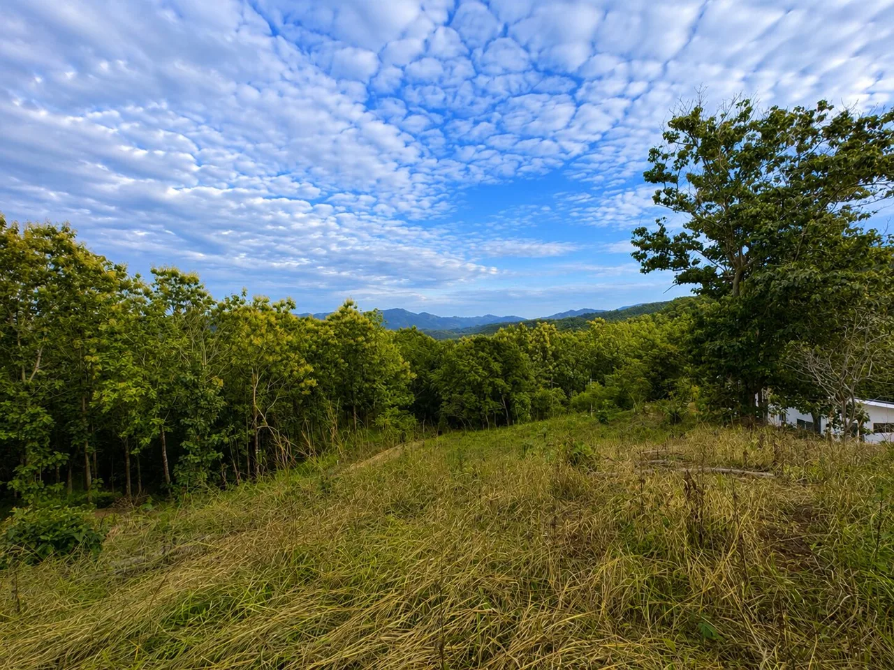 Buildable Land for Sale near Sámara, Costa Rica – Mountain &amp; Valley Views