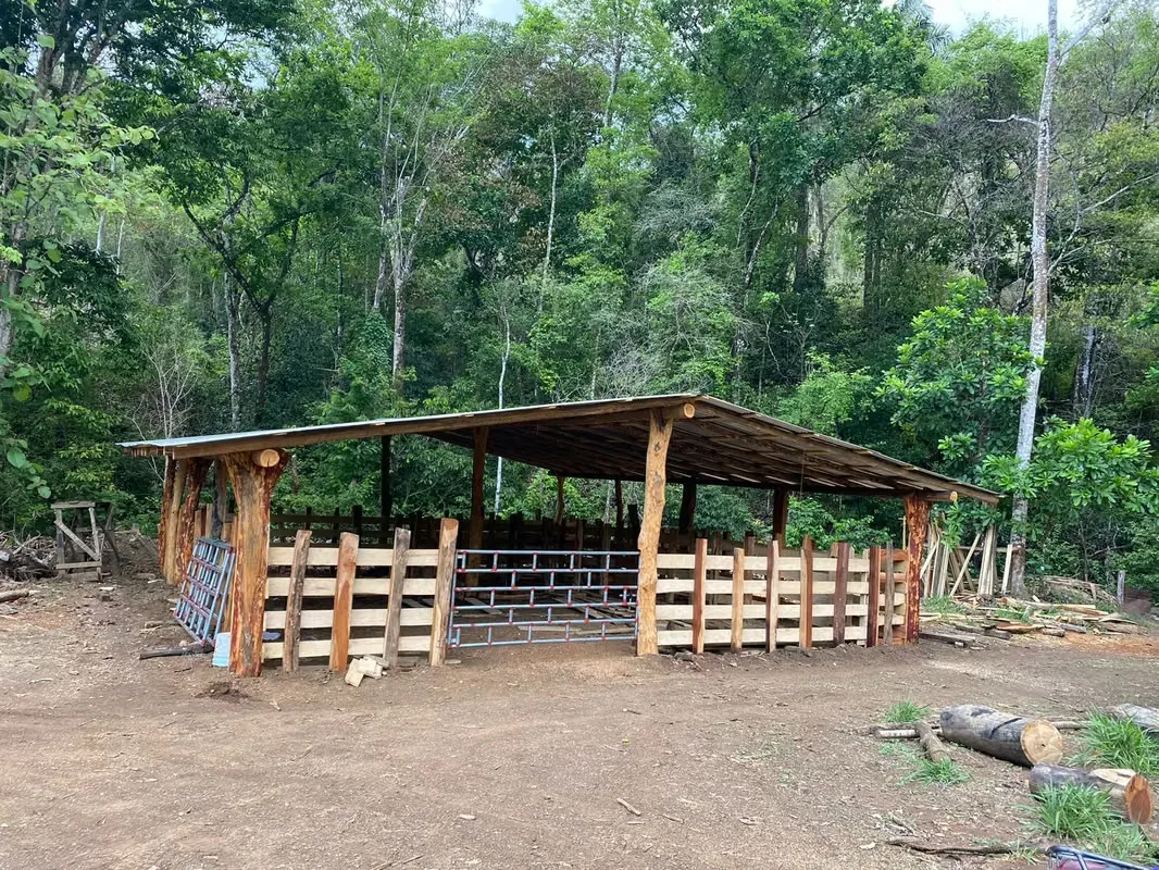 Hermosa propiedad de potreros, colinas, catarata con abundante naturaleza que incluye dos nacientes propias y un río ..., photo 3