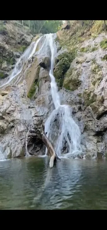 Hermosa propiedad de potreros, colinas, catarata con abundante naturaleza que incluye dos nacientes propias y un río ..., photo 7