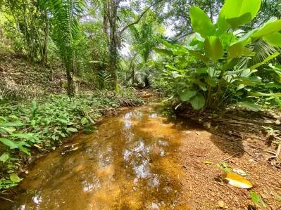 Paraíso tropical con arroyo abierto todo el año en Uvita, photo 3