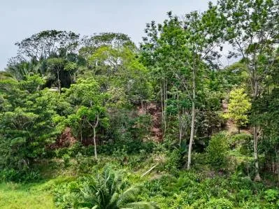 Paraíso tropical con arroyo abierto todo el año en Uvita, photo 5