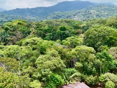 Paraíso tropical con arroyo abierto todo el año en Uvita, photo 6