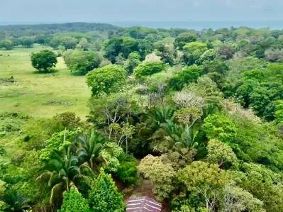 Paraíso tropical con arroyo abierto todo el año en Uvita, photo 8