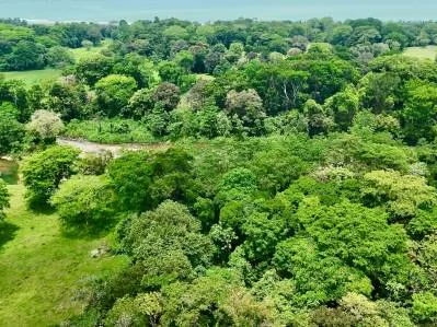 Paraíso tropical con arroyo abierto todo el año en Uvita, photo 9