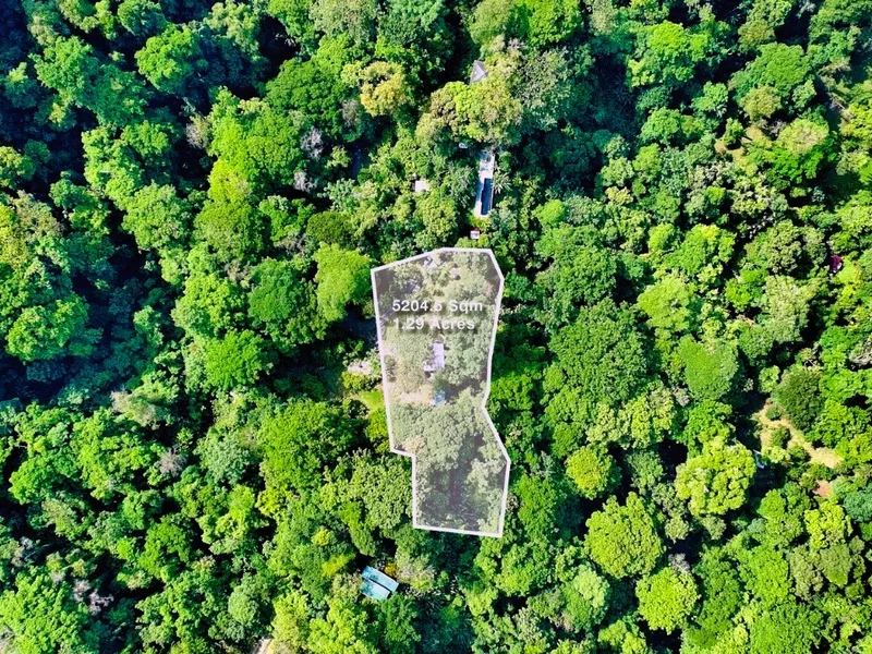 Land For Sale in Puerto Viejo, photo 2