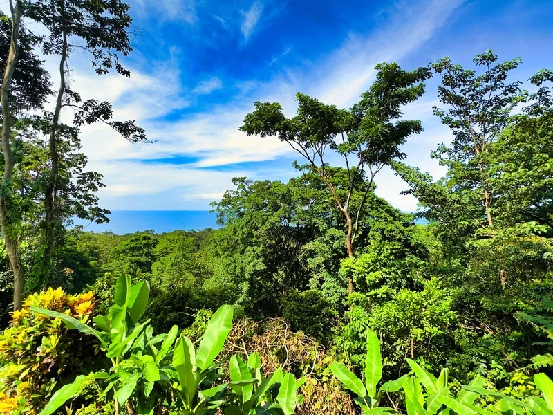 Land For Sale in Puerto Viejo, photo 3