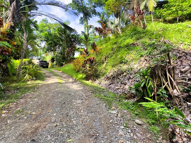 Land For Sale in Puerto Viejo, photo 8