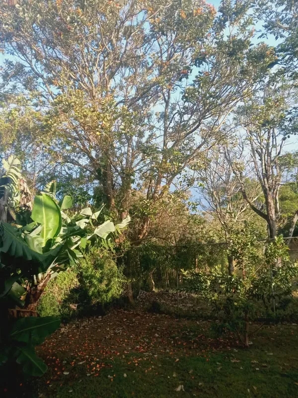 Location: El Carmen de Guadalupe, 1.5 km east of the Catholic Church, photo 13
