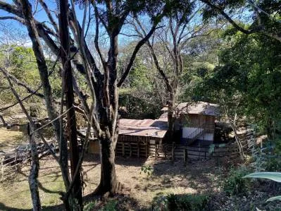 Farm 5 Ha For Sale Los Molejones For Mixed Development , Renowned Large Farm At The Rodeo, photo 4