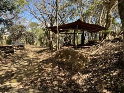 Farm 5 Ha For Sale Los Molejones For Mixed Development , Renowned Large Farm At The Rodeo, photo 6