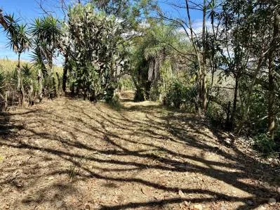 Farm 5 Ha For Sale Los Molejones For Mixed Development , Renowned Large Farm At The Rodeo, photo 7