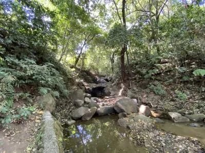 Farm 5 Ha For Sale Los Molejones For Mixed Development , Renowned Large Farm At The Rodeo, photo 8