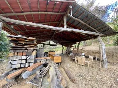 Farm 5 Ha For Sale Los Molejones For Mixed Development , Renowned Large Farm At The Rodeo, photo 9