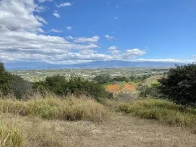 Farm 5 Ha For Sale Los Molejones For Mixed Development , Renowned Large Farm At The Rodeo, photo 10