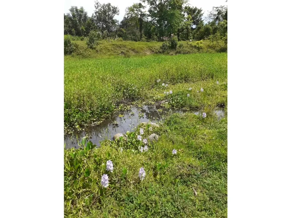 DESCRIPCIÓN DETALLADA: propiedad con uso de suelo agropecuario, ..., photo 2