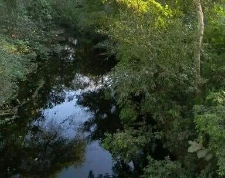 SE VENDE LOTE, GARABITO PUNTARENAS, Cod#251227 - Venta en Garabito