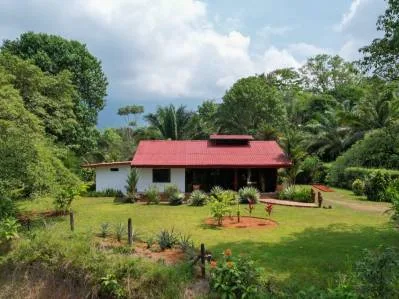 Dual-Income Tropical Estate in Ojochal – Two Beautiful Homes with Pools, photo 8