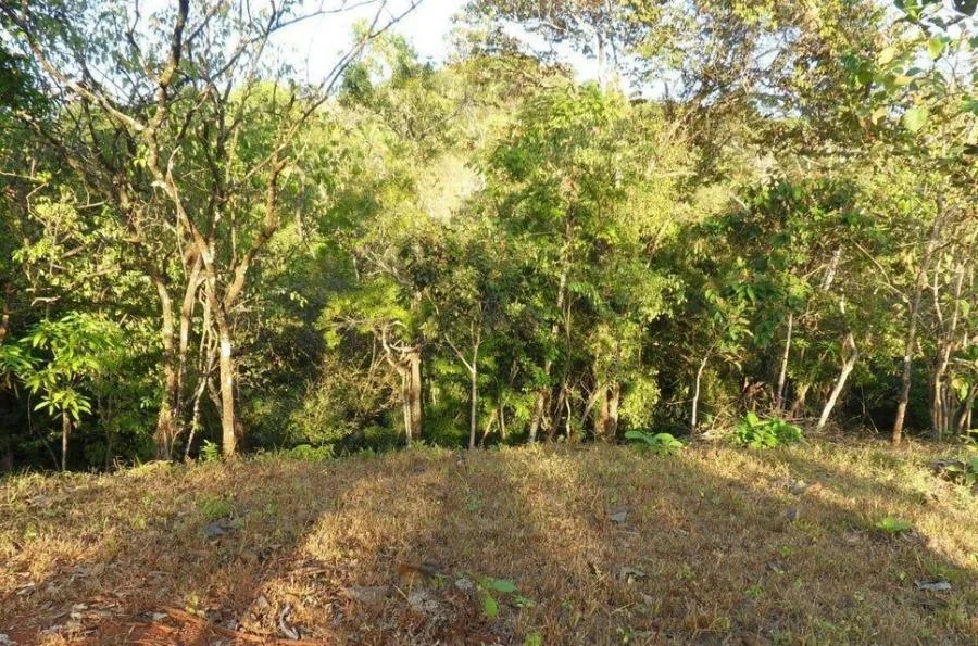 Venta de Lote en Hojancha, Guanacaste. RAH 25-574 PRECIO REBAJADO - Venta en Hojancha