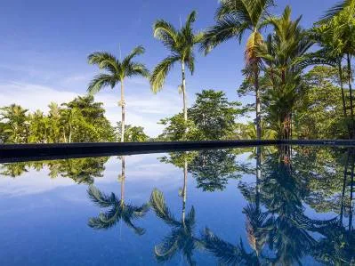 LUXURY OCEAN VIEW PROPERTY WITH HOUSE AND GUEST HOUSE – 7.36 ACRES, photo 26