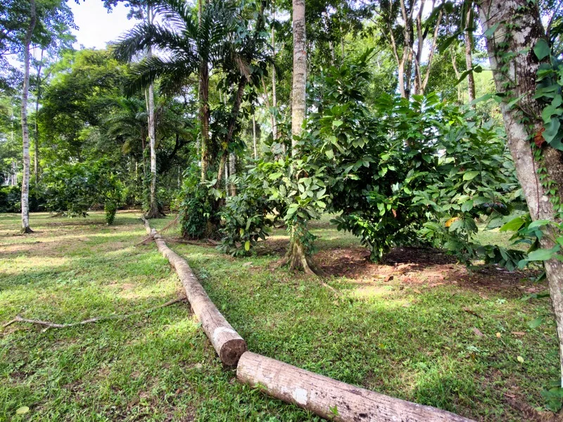Land For Sale in Cahuita, photo 11