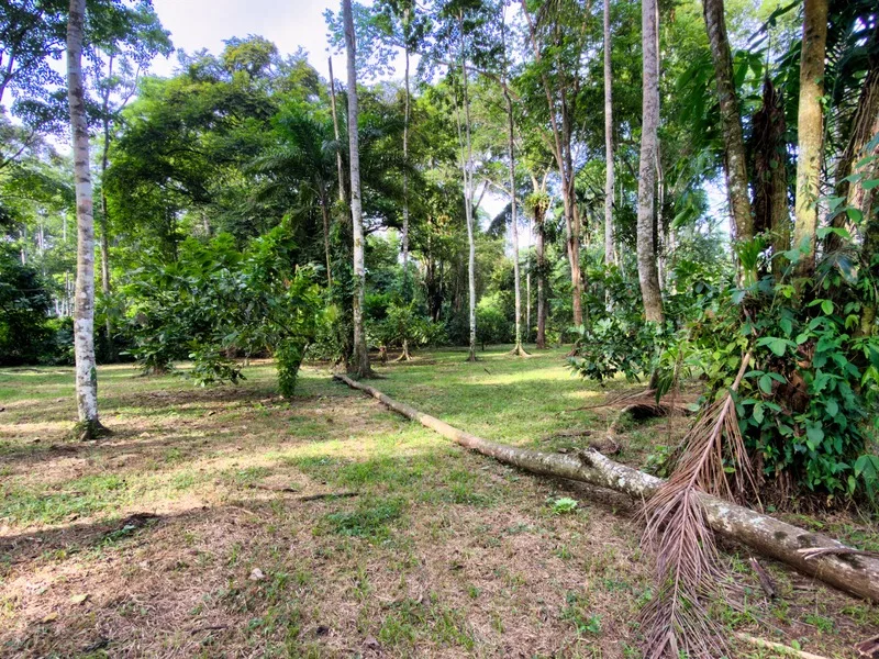 Land For Sale in Cahuita, photo 12