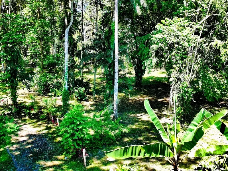 Land For Sale in Cahuita, photo 6