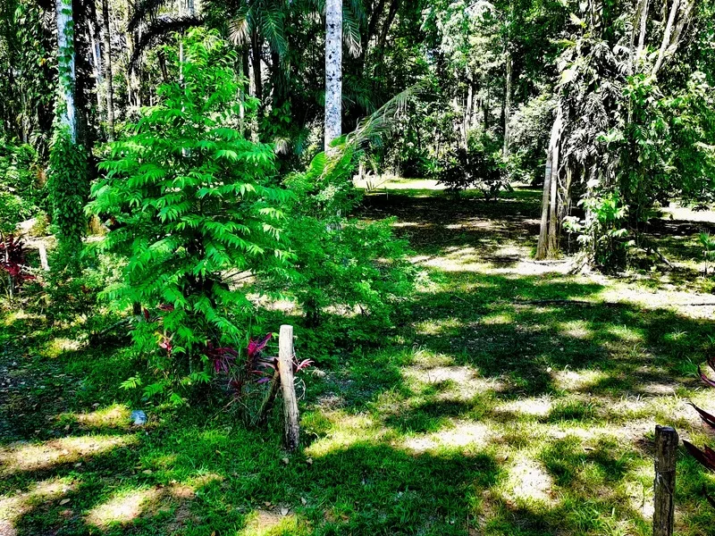 Land For Sale in Cahuita, photo 7