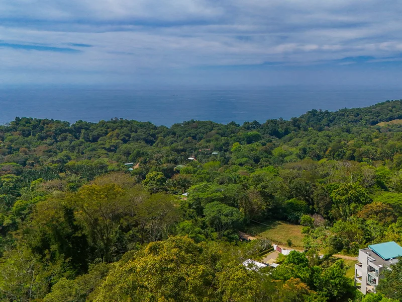 4 Bed Single Family Homes For Sale in Uvita, photo 5