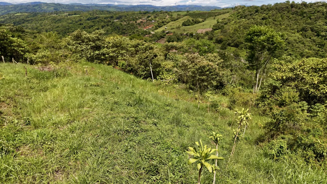 258 m² Lot for Sale in Tres Rios, Perez Zeledon – Stunning Views, Perfect for Airbnb or Cabin, photo 6